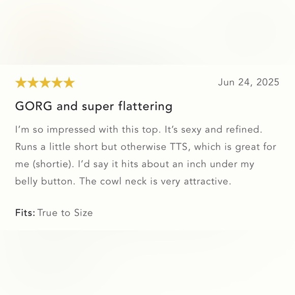 NWT Size L - Anthropologie The Sloane Cowl-Neck  blouse Tank (NWT US$ 68) - Picture 13 of 16